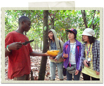ガーナのカカオ畑で収穫作業の体験をしてきた日本の高校生と大学生たち