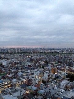 遠くに見えるスカイツリーと東京タワー