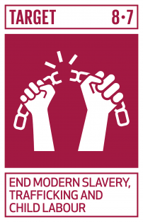 持続可能な開発目標（SDGs）とACEの取組み | 世界の子どもを児童労働から守るNGO ACE（エース）